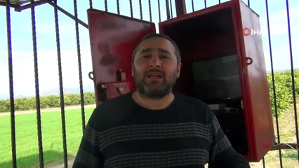 Narenciye hırsızlarına karşı güvenlik kameralı önlem