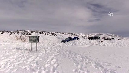 Yaylada kaybolan kişiyi arama çalışmalarına ara verildi