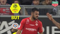 But Gaëtan LABORDE (50ème) / Amiens SC - Montpellier Hérault SC - (1-2) - (ASC-MHSC) / 2019-20