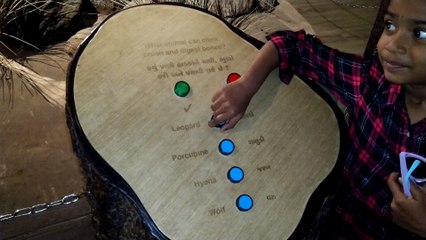 SASAN GIR FOREST MUSEUM : QUIZ TIME FOR KIDS