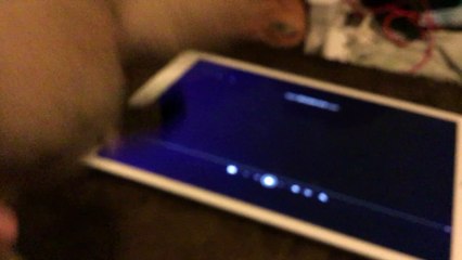 Myška Watches Warner Home Video Boring Shield