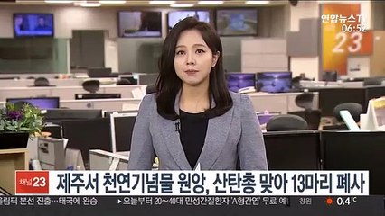 제주서 천연기념물 원앙, 산탄총 맞아 13마리 폐사