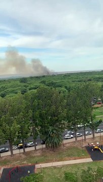 Incendio de pastizales en la Reserva Ecológica