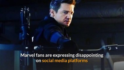 Jeremy Renner's Hawkeye put on the back burner