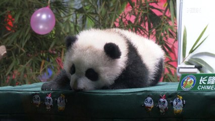 [굿모닝월드] 100일 잔치