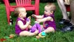 Cute Twins Baby Fighting Over _ Funny Baby Videos