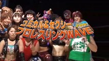 Comical & Sexy ProWrestling WAVE vol.20