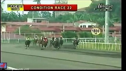 일본경마사이트¿ RACC 88 ,C0M 사설경마 사설경마사이트