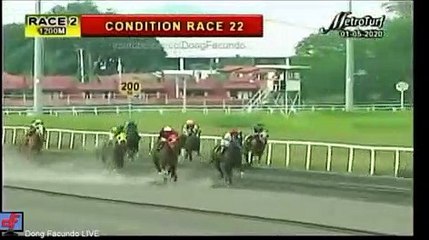 인터넷경마사이트¿ RACC 88 ,C0M 일본경마 사설경마사이트