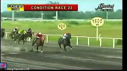 인터넷경마사이트¿ RACC 88 ,C0M 일본경마 사설경마사이트