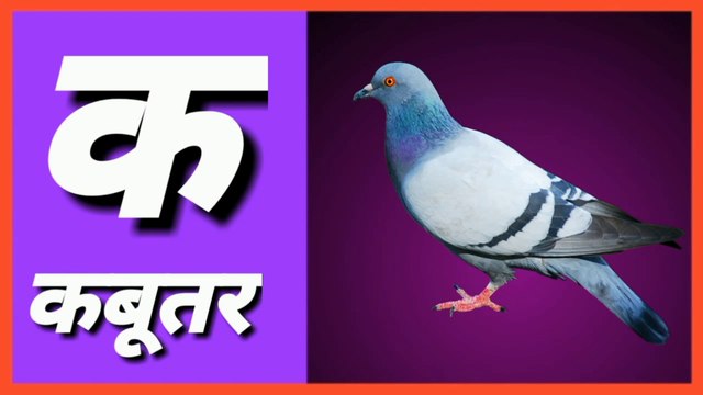 k se Kamal , क से कबूतर , k se kabutar, Nursery Rhymes , Rhymes , Nursery Rhymes Collection , Popular Nursery Rhymes , itsy bitsy spider , Animation , Cartoon , Songs , Children's Song , kids songs , songs for children , rhymes for children , children so