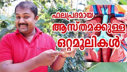 Bronchitis natural treatment malayalam / Best medicine for Bronchitis / ആസ്ത്മ
