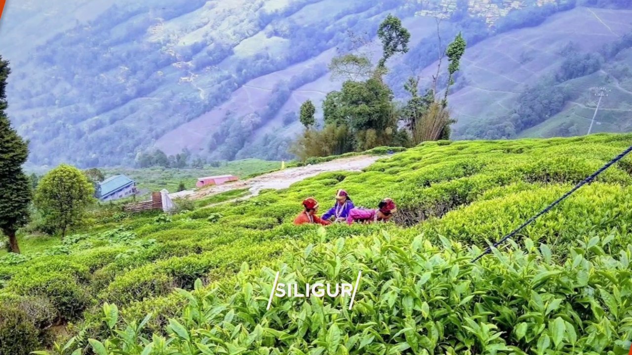 "SILIGURI" Top 10 Tourist Places | Siliguri Tourism | WEST BENGAL | INDIA
