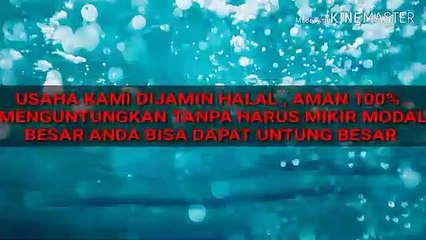 WA.0812 2770 056 (T-SEL) // Usaha Waralaba