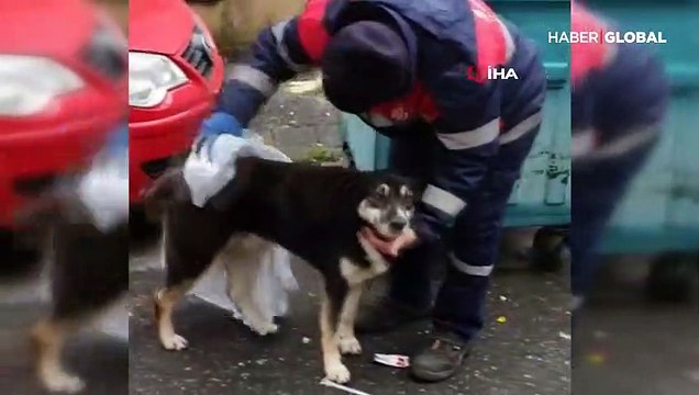Yağmurda kalan köpeğe temizlik işçisinin gülümseten şefkati