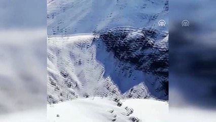 Hakkari'de "Kapan-3 Kavaklı Operasyonu" başlatıldı