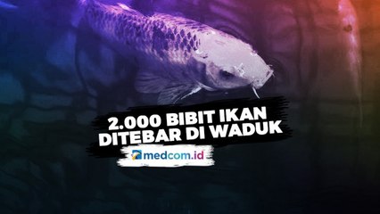 2.000 Bibit Ikan Nila Ditebar di Waduk