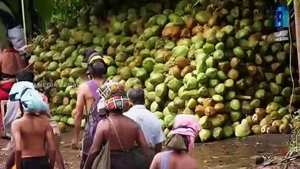 കറുപ്പും വെളുപ്പും | ശബരിമല : വിശാല ബെഞ്ചിന്റെ മുന്നിലെത്തിയ ഏഴ് ചോദ്യങ്ങൾ , ഏതൊക്കെ ?