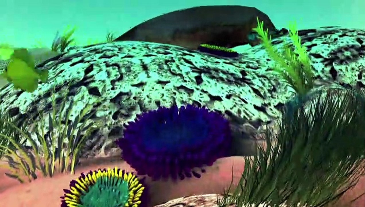 Das Great Barrier Reef