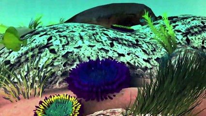 Das Great Barrier Reef