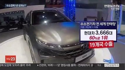 수소차 글로벌 판매 1위 올랐지만…갈 길 먼 수소경제