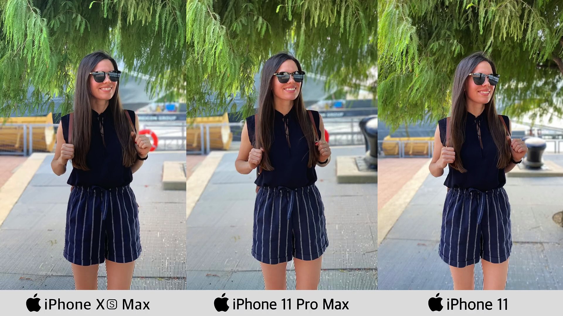 op vakantie Trojaanse paard andere iPhone 11 Pro Max vs iPhone Xs Max vs iPhone 11 Camera Test - video  Dailymotion