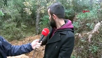 İstanbul'da ormanda vahşet! Battaniyeye sarılı kadın cesedi bulundu