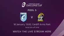 Cardiff Blues v Rugby Calvisano