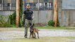 Training The World’s Toughest Police Dogs | BIG DOGZ