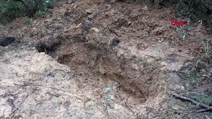 Arnavutköy'de ormanda vahşet battaniyeye sarılı kadın cesedi bulundu
