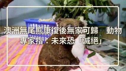 CollectionVideo-petmao_curation-copy2-PetsMaoParser-2020/01/13-09:30