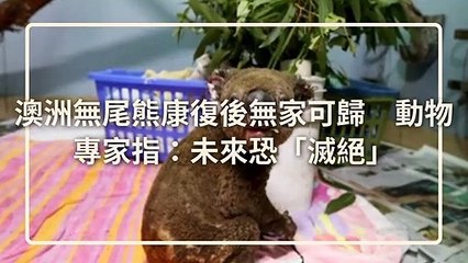 CollectionVideo-petmao_curation-copy4-PetsMaoParser-2020/01/13-09:30