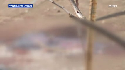 "무시하고 욕해서"…동네 후배 흉기로 살해한 60대 남성