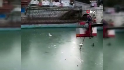 Suda ayakları donan kazları itfaiye kurtardı