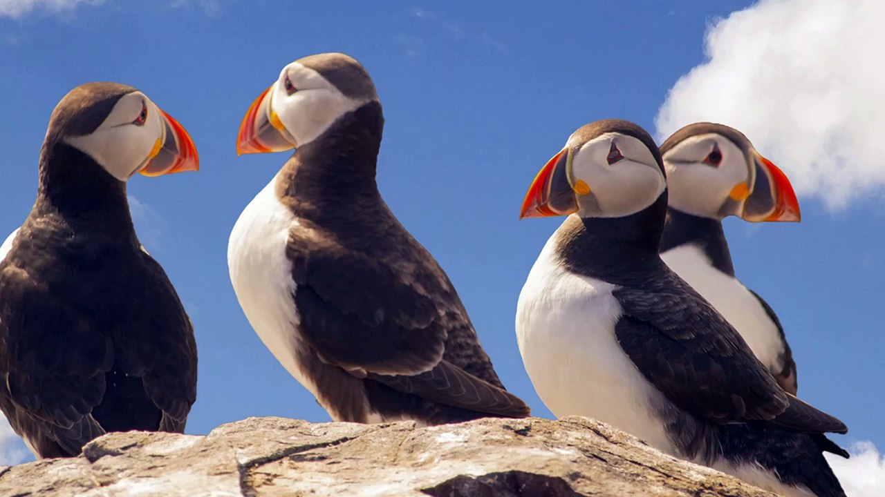 Discover Iceland