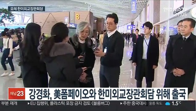 강경화 방미…폼페이오와 호르무즈 파병·대북공조 논의