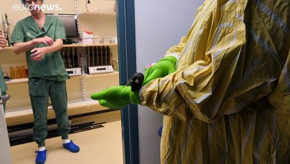 Hoffnung auf Heilung: Alzheimer-Mäuse im Forschungslabyrinth