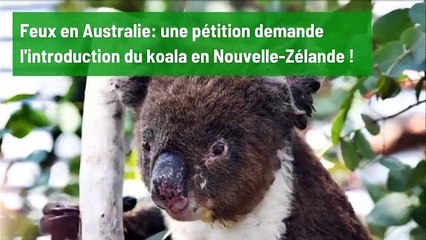 L'actualité internationale de la semaine 13012020