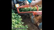 World Modern Harvesting Agriculture Machines Working, Best Plowing Tractor Equipment At Farming