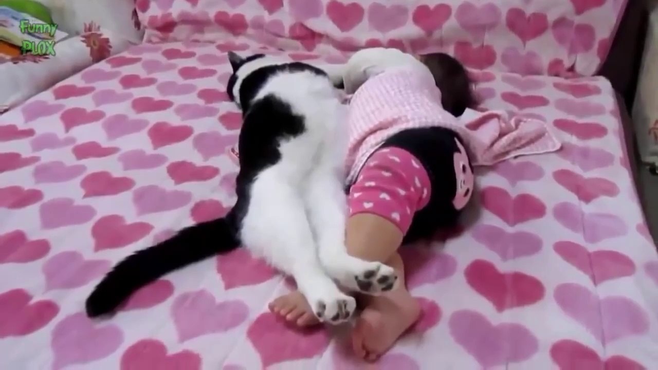 Funny Babies and Animals Video THE BEST Adorable Baby and Animals funny videos Compilation