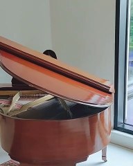 Adah Sharma loves playing the piano