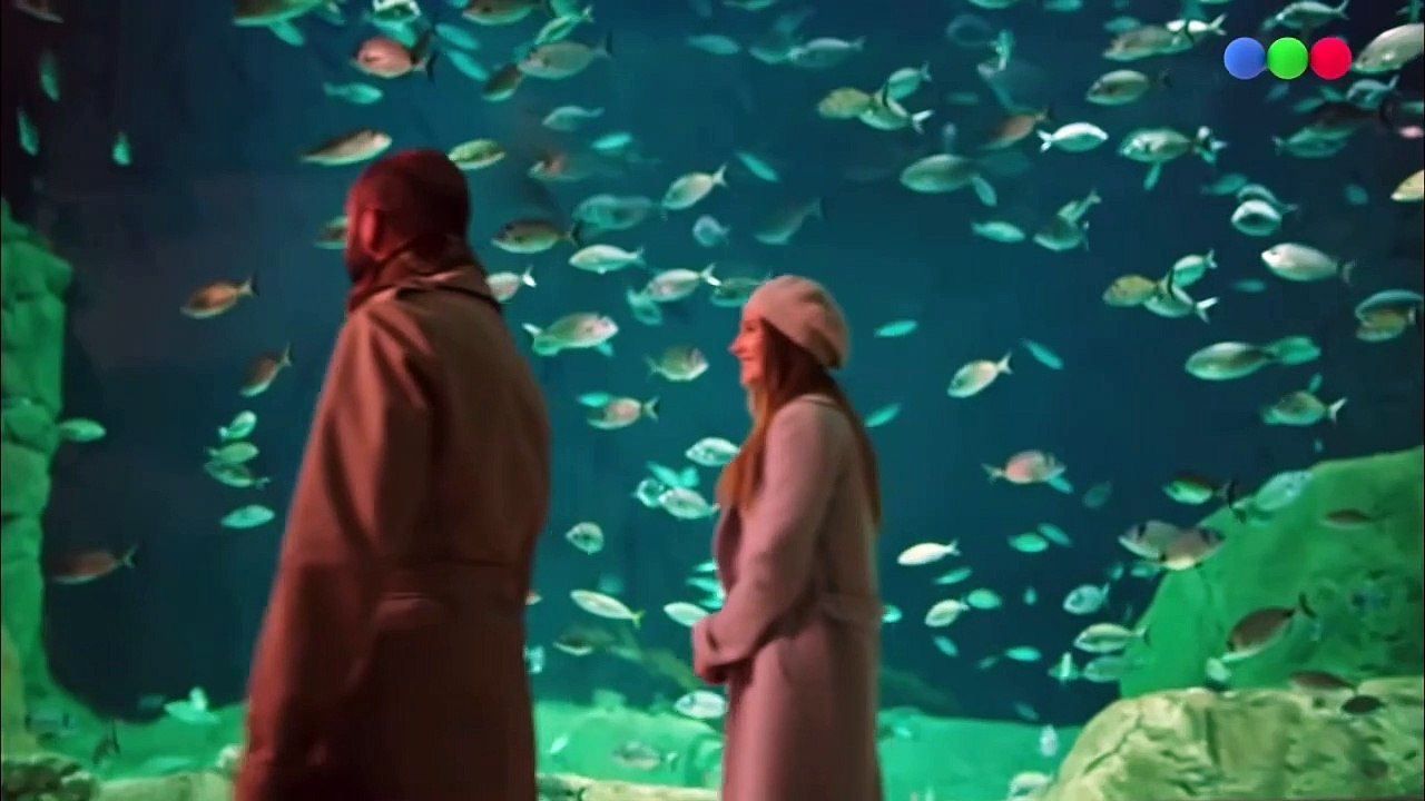 Lazos De Sangre Cap 332 - Cap 332 Lazos De Sangre