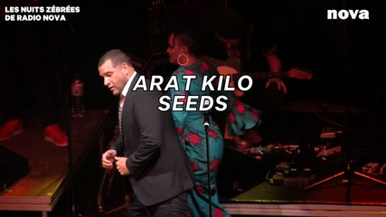 Arat Kilo - « Seeds  » I Les Nuits Zébrées