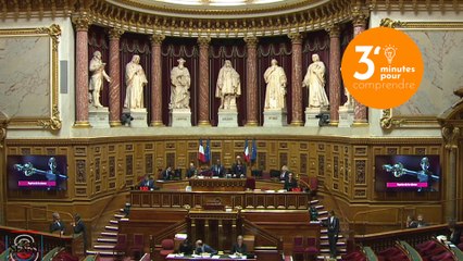 [3 minutes pour comprendre] Débat sur la situation de la psychiatrie des mineurs en France