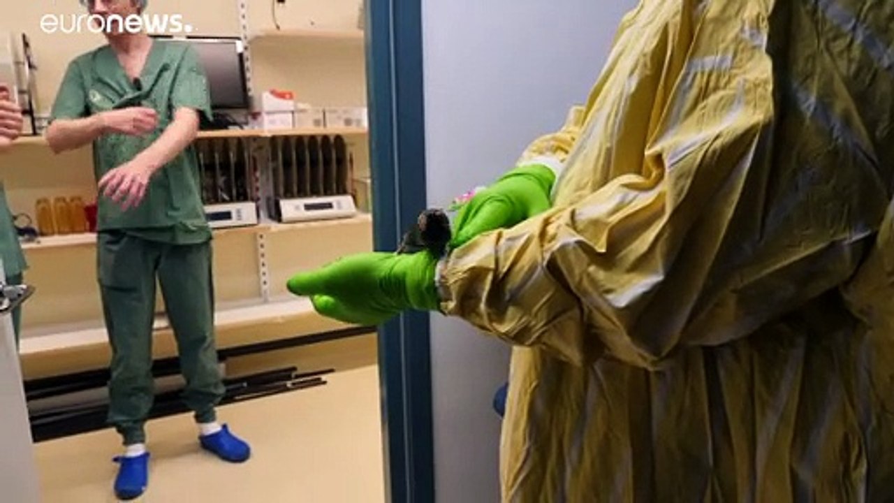 Болезнь Альцгеймера: опыты на трансгенных мышах