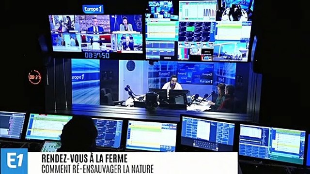 Réensauvager la nature pour lutter contre le réchauffement climatique