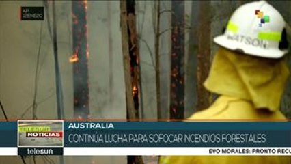 Gobierno australiano lanzará comida a animales afectados por incendios