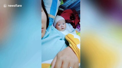 Three-month-old baby acts as if nothing had happened after being caught peeping at mum's phone
