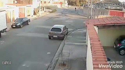 Dupla de cães da raça "filhosdamae" perseguem ciclista e causam acidente