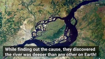 How Dead Fish Revealed Congo as the Deepest River on Earth